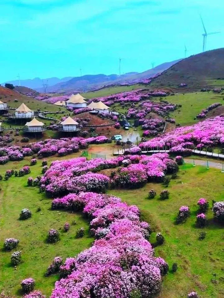 Highland grassland scenery at Wumeng Grassland in Liupanshui