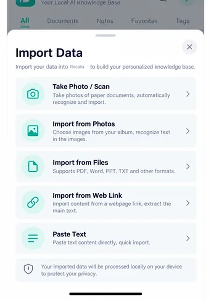 Recalia Import interface preview