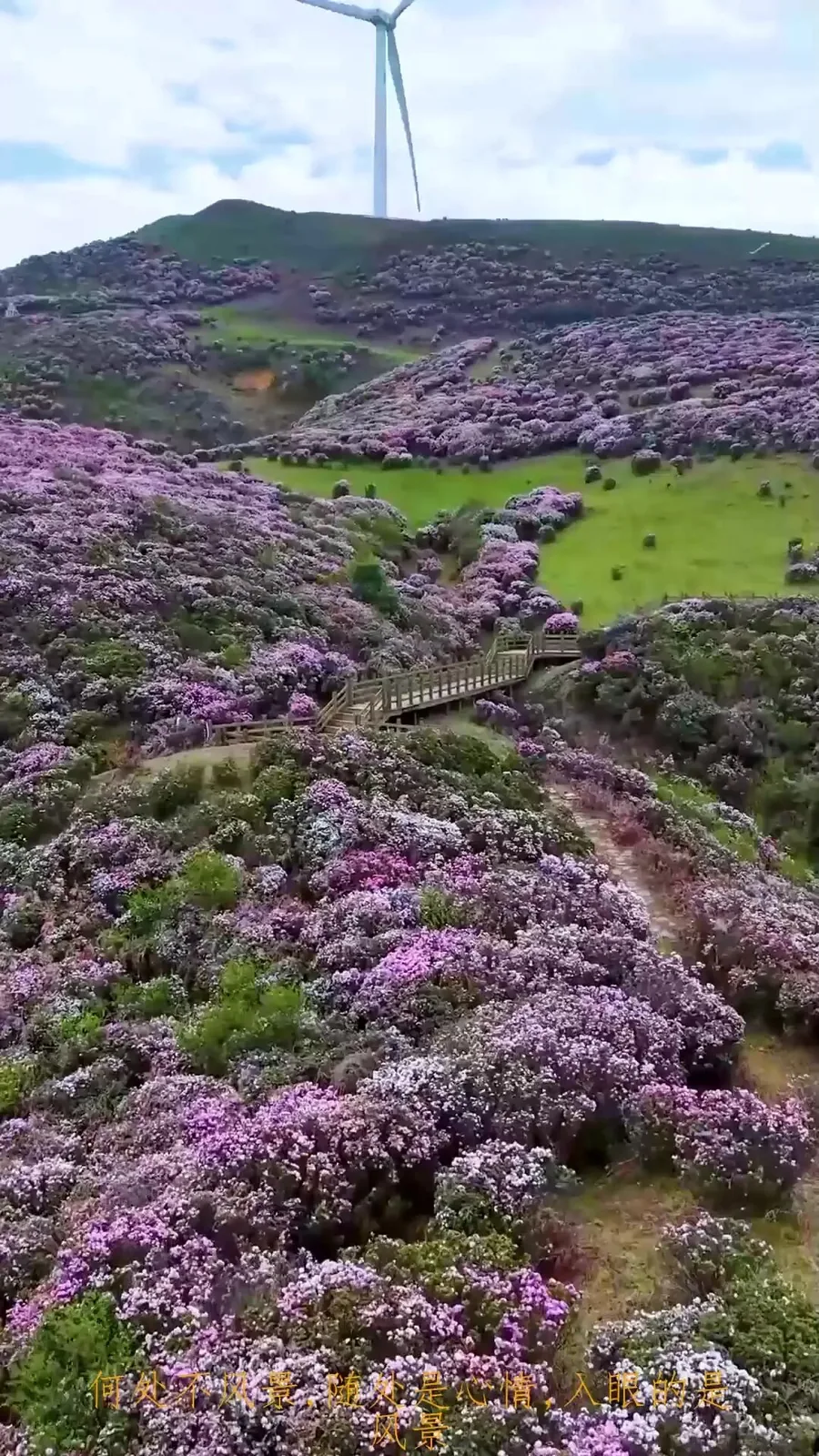 六盘水盘州乌蒙大草原夏季高山草场与云雾景观